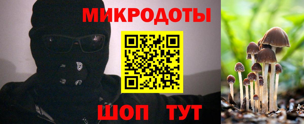 Псилоцибиновые грибы MAGIC MUSHROOMS Туапсе